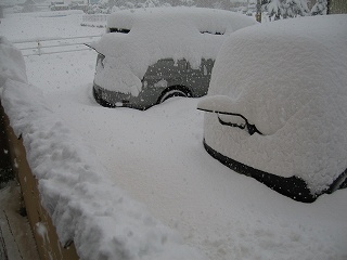 雪201101.jpg